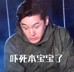 李丰田袄叔表情包